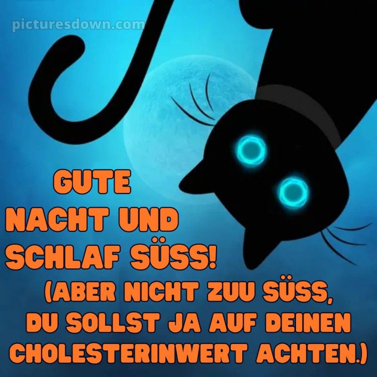 Gute nacht bilder lustig bild schwarze Katze kostenlos