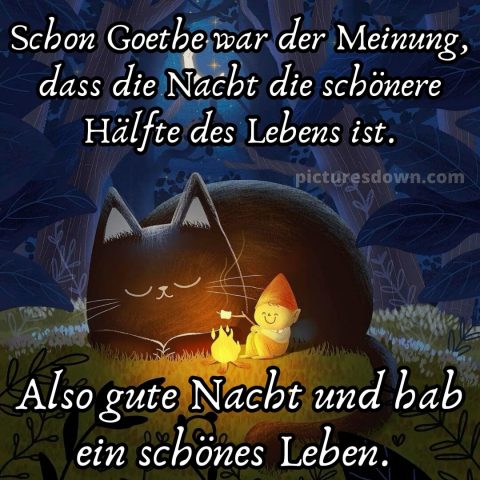 Gute nacht bilder lustig bild Zwerg kostenlos