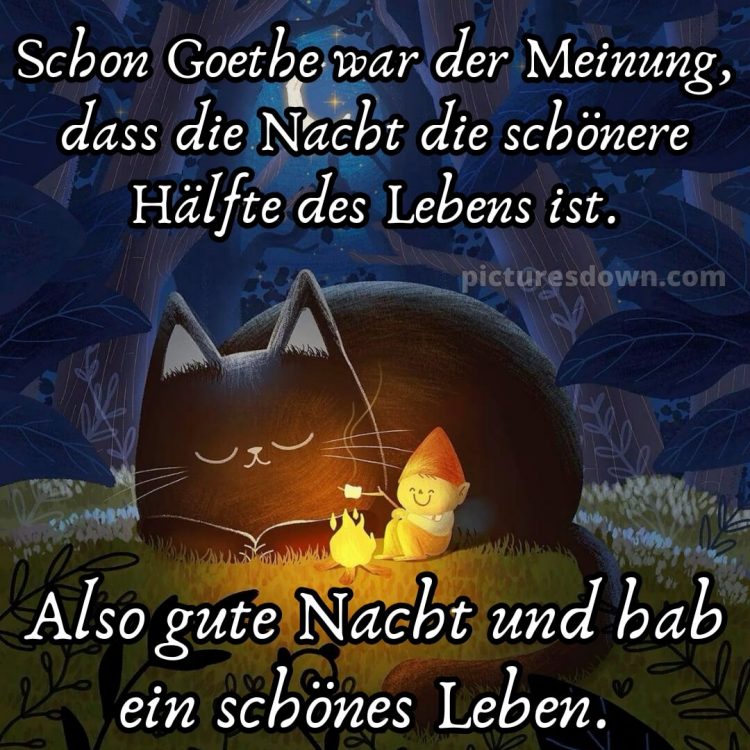 Gute nacht bilder lustig bild Zwerg kostenlos