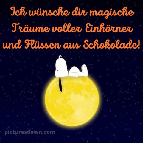 Gute nacht bilder lustig neu kostenlos bild Hund kostenlos