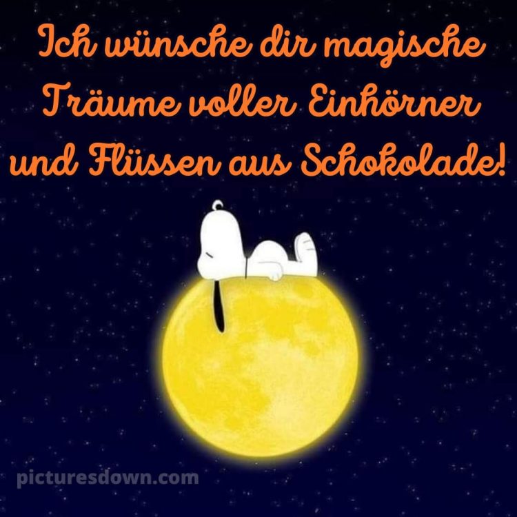 Gute nacht bilder lustig neu kostenlos bild Hund kostenlos