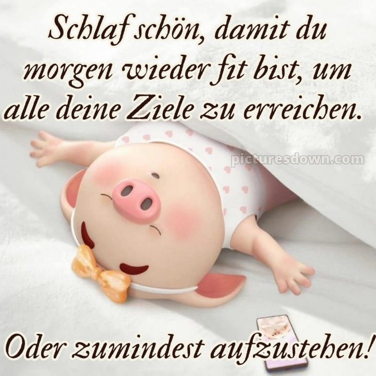 Gute nacht bilder lustig neu kostenlos bild Schwein kostenlos