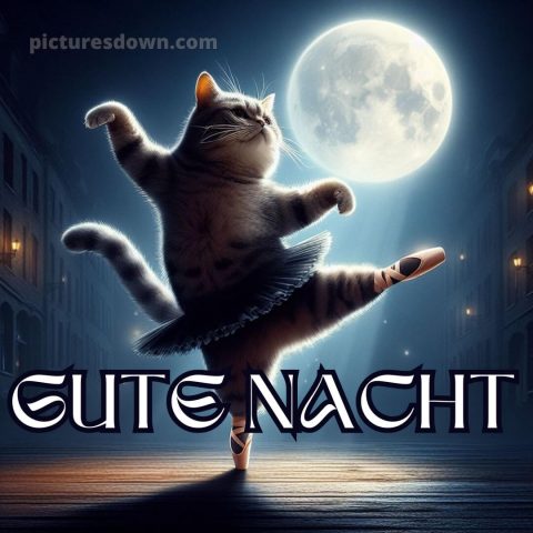 Gute nacht bilder lustig neu kostenlos bild Ballerina kostenlos