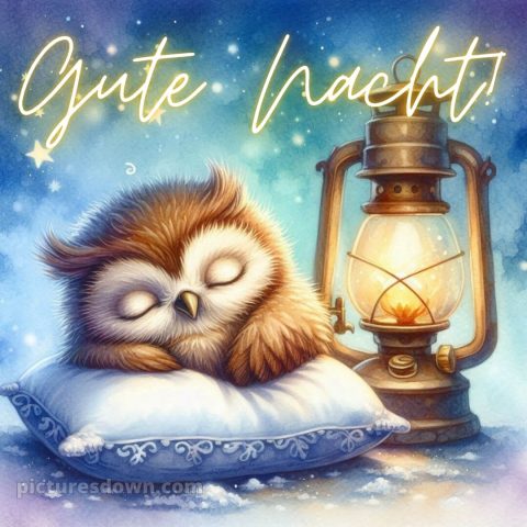 Gute nacht bilder lustig neu kostenlos bild Eule kostenlos