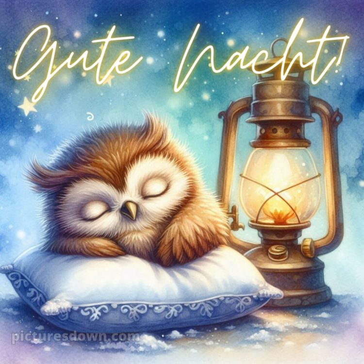 Gute nacht bilder lustig neu kostenlos bild Eule kostenlos