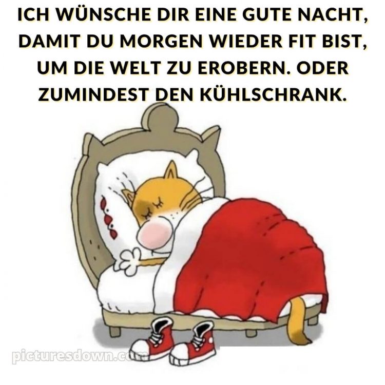 Gute nacht bilder lustig neu kostenlos bild Bett kostenlos