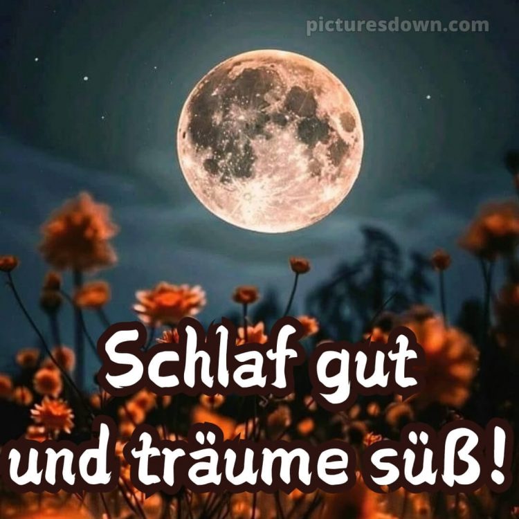 Gute nacht bilder neu kostenlos bild Blumen kostenlos