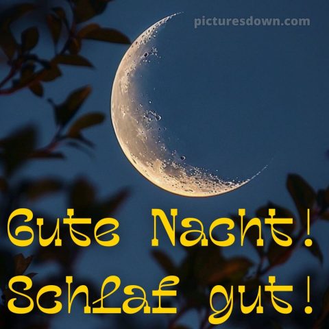 Gute nacht bilder neu kostenlos bild Blätter kostenlos