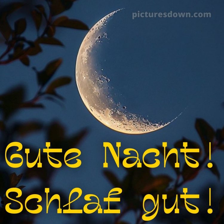 Gute nacht bilder neu kostenlos bild Blätter kostenlos