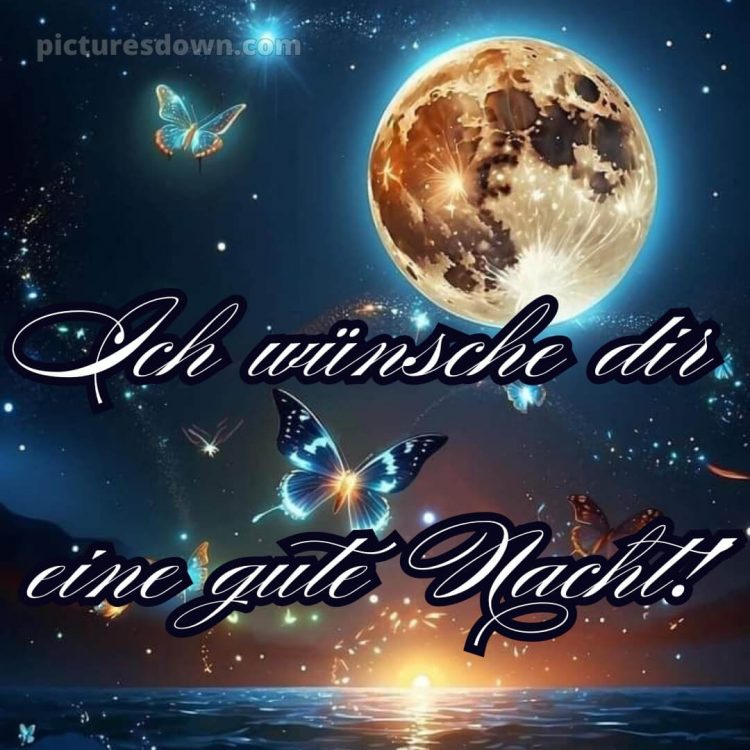 Gute nacht bilder neu kostenlos bild Schmetterling kostenlos