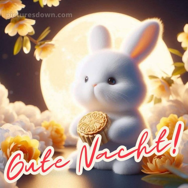 Gute nacht bilder neu kostenlos bild Hase kostenlos