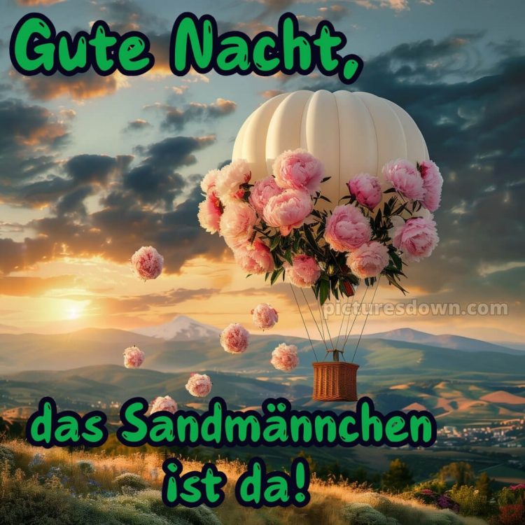 Gute nacht bilder neu kostenlos bild Luftballon kostenlos