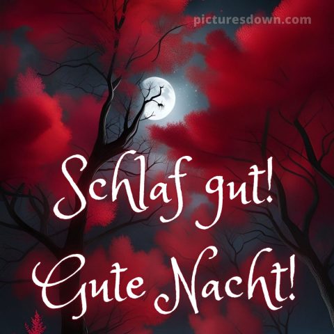 Guten abend gute nacht bilder bild Rotbäume kostenlos