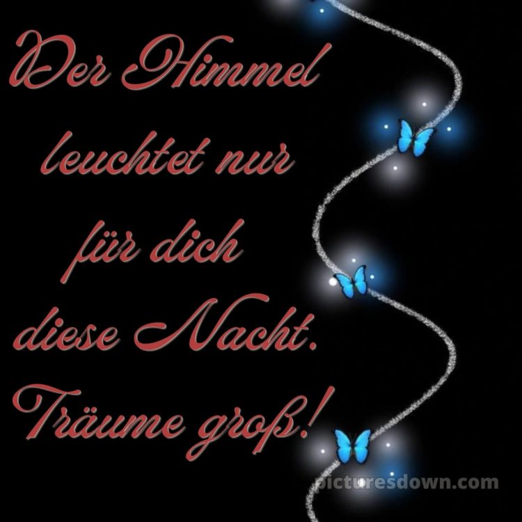 Guten abend gute nacht bilder bild Schmetterlinge kostenlos