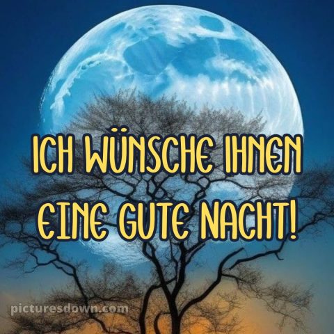 Guten abend gute nacht bilder bild Baum kostenlos