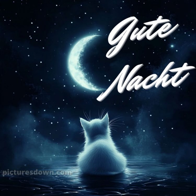 Guten abend gute nacht bilder für whatsapp kostenlos bild Mond kostenlos
