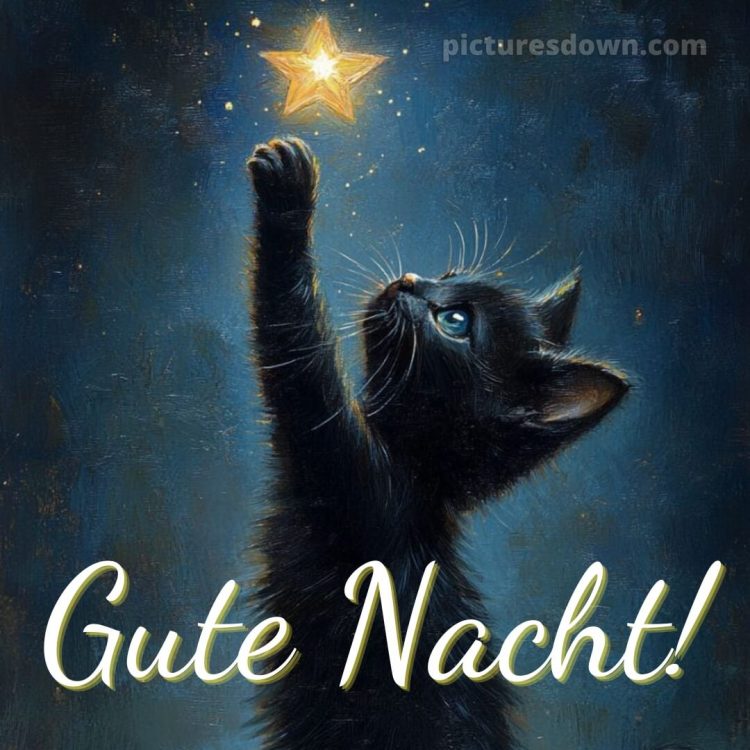 Guten abend gute nacht bilder für whatsapp kostenlos bild Kätzchen kostenlos