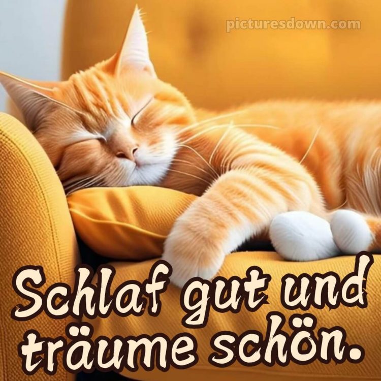 Guten abend gute nacht bilder für whatsapp kostenlos bild Sofa kostenlos
