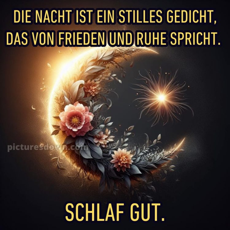 Guten abend gute nacht bilder für whatsapp kostenlos bild Blumen kostenlos