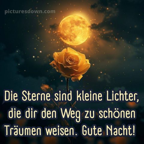 Guten abend gute nacht bilder für whatsapp kostenlos bild Rose kostenlos