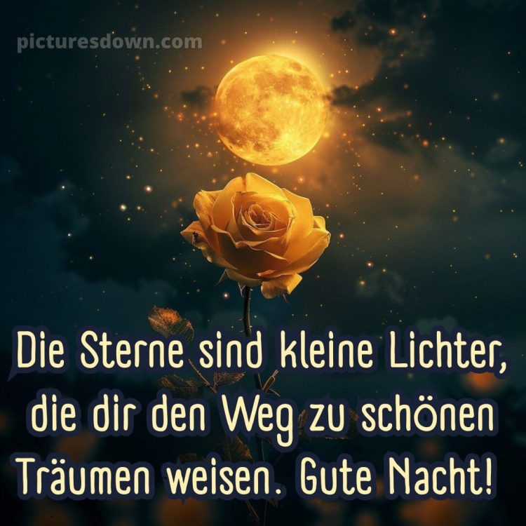 Guten abend gute nacht bilder für whatsapp kostenlos bild Rose kostenlos