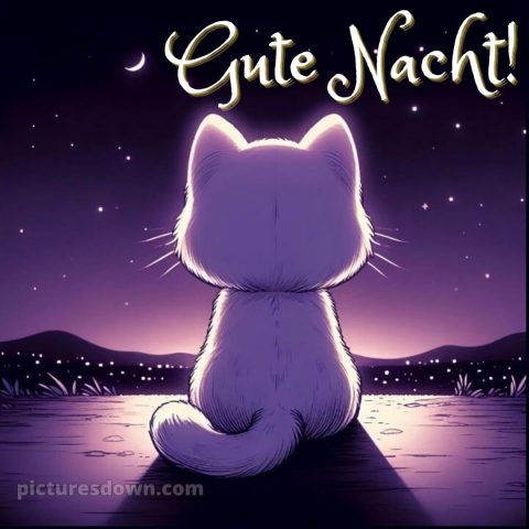 Guten abend gute nacht bilder für whatsapp kostenlos bild Katze kostenlos