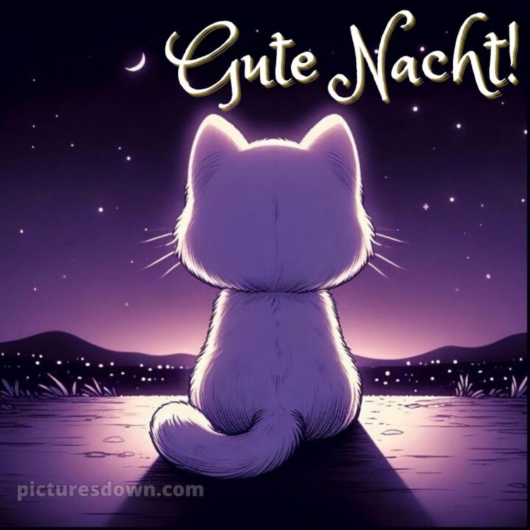 Guten abend gute nacht bilder für whatsapp kostenlos bild Katze kostenlos