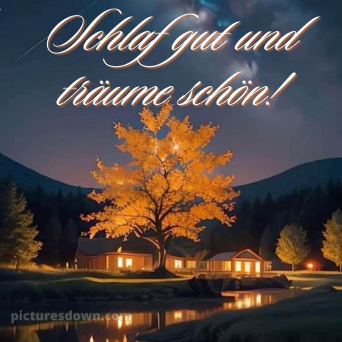 Guten abend gute nacht bilder für whatsapp kostenlos bild Baum kostenlos