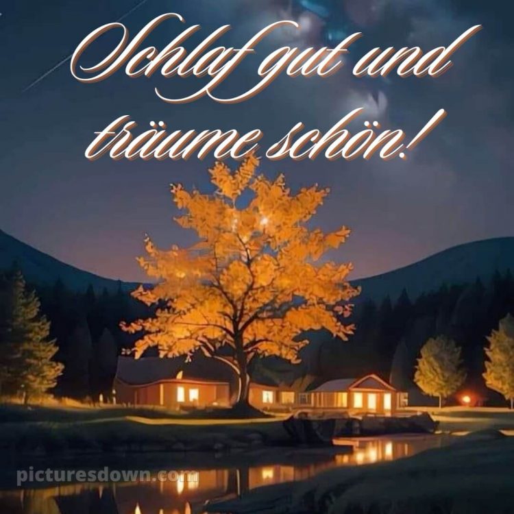 Guten abend gute nacht bilder für whatsapp kostenlos bild Baum kostenlos