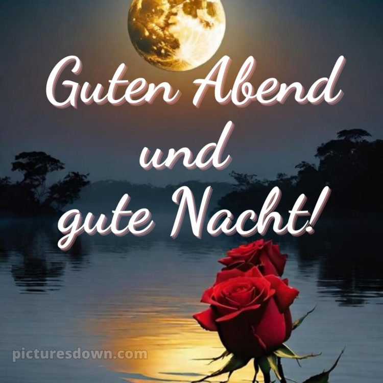 Guten abend gute nacht bilder kostenlos gif bild Rose kostenlos