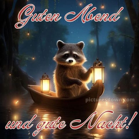 Guten abend gute nacht bilder kostenlos gif bild Waschbär kostenlos