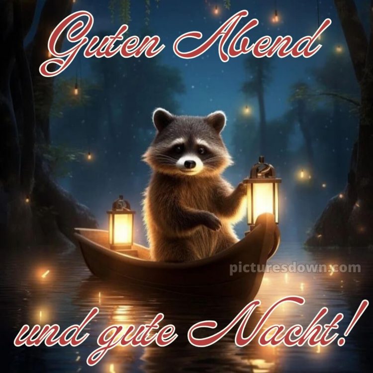 Guten abend gute nacht bilder kostenlos gif bild Waschbär kostenlos