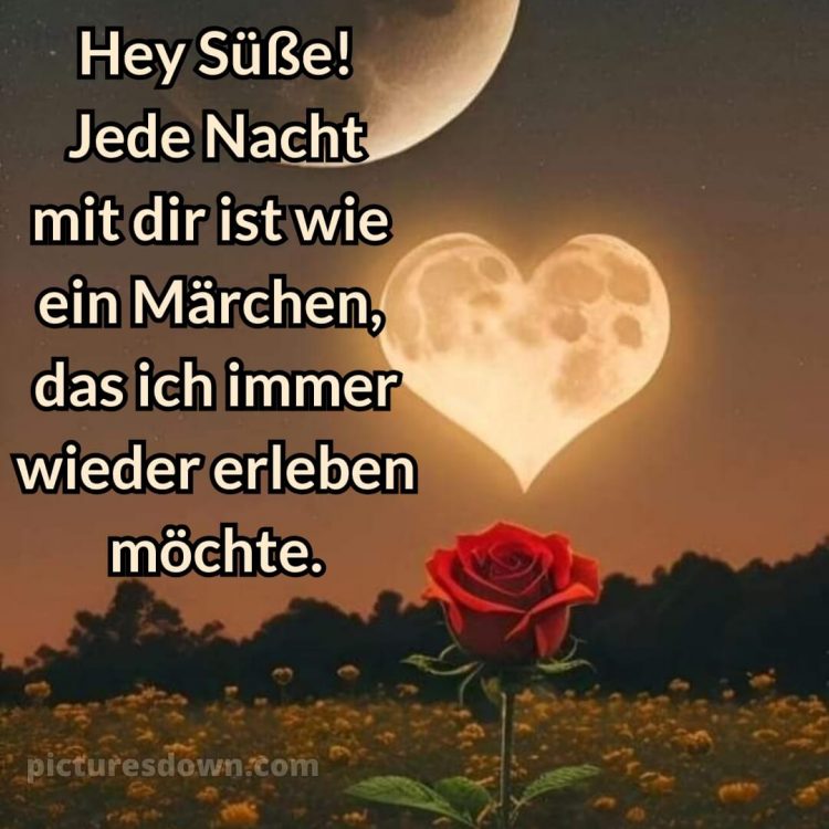 Liebe gute nacht bilder kostenlos bild Rose kostenlos