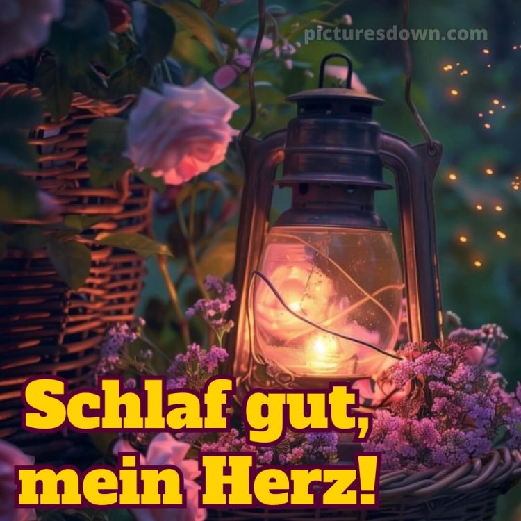 Liebe gute nacht bilder kostenlos bild Laterne kostenlos