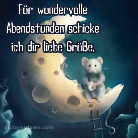 Schönen abend gute nacht bilder lustig kostenlos bild Maus kostenlos