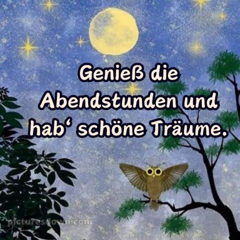 Schönen abend gute nacht bilder lustig kostenlos bild Baum kostenlos