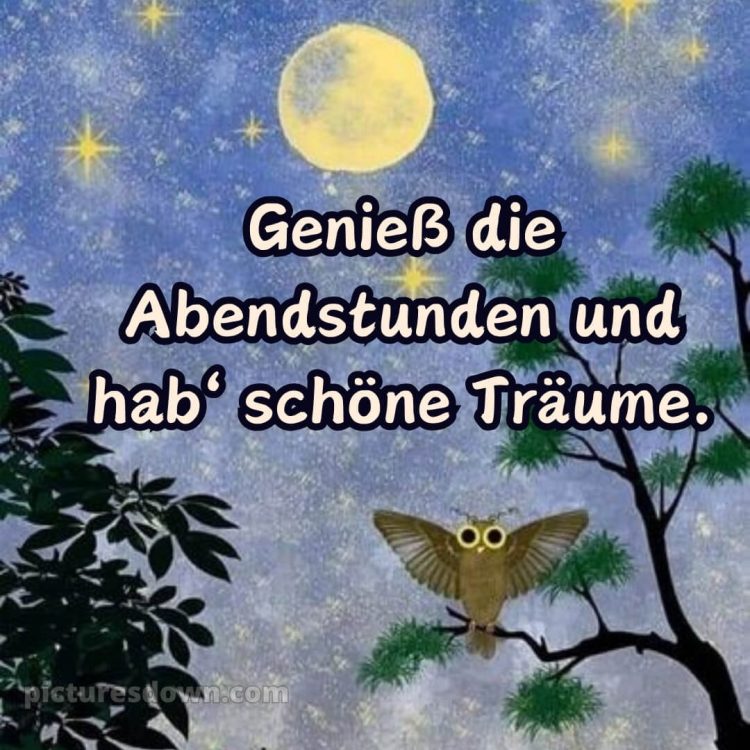 Schönen abend gute nacht bilder lustig kostenlos bild Baum kostenlos