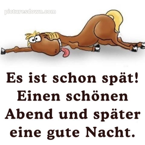 Schönen abend gute nacht bilder lustig kostenlos bild Pferd kostenlos