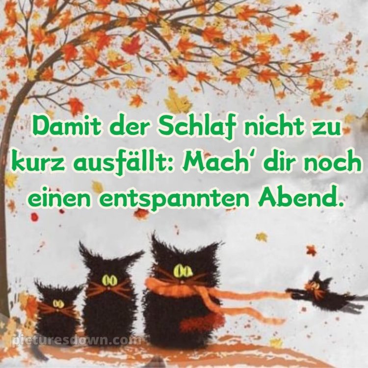 Schönen abend gute nacht bilder lustig kostenlos bild Herbst kostenlos