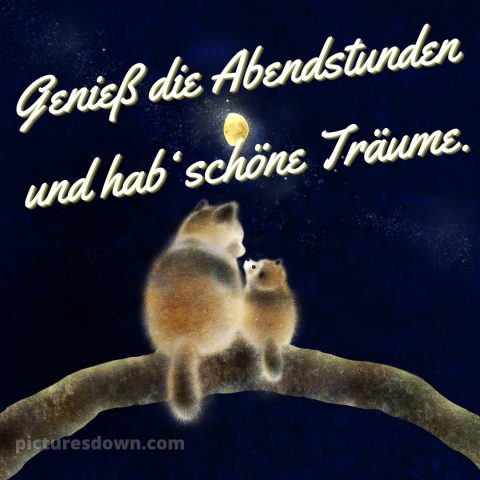 Schönen abend gute nacht bilder lustig kostenlos bild Himmel kostenlos