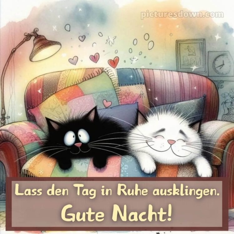 Schönen abend gute nacht bilder lustig kostenlos bild zwei Katzen kostenlos