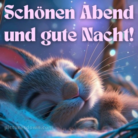 Schönen abend und gute nacht bilder kostenlos bild Hase kostenlos