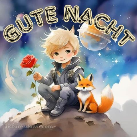Schönen abend und gute nacht bilder kostenlos bild Rose kostenlos