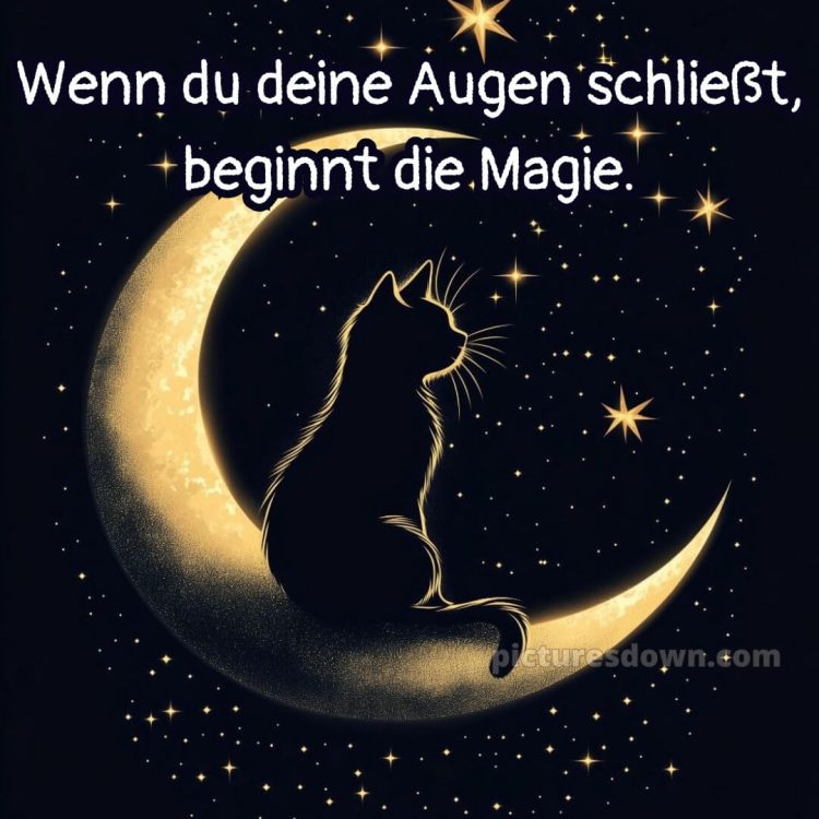 Süß gute nacht bilder für whatsapp bild Sterne kostenlos