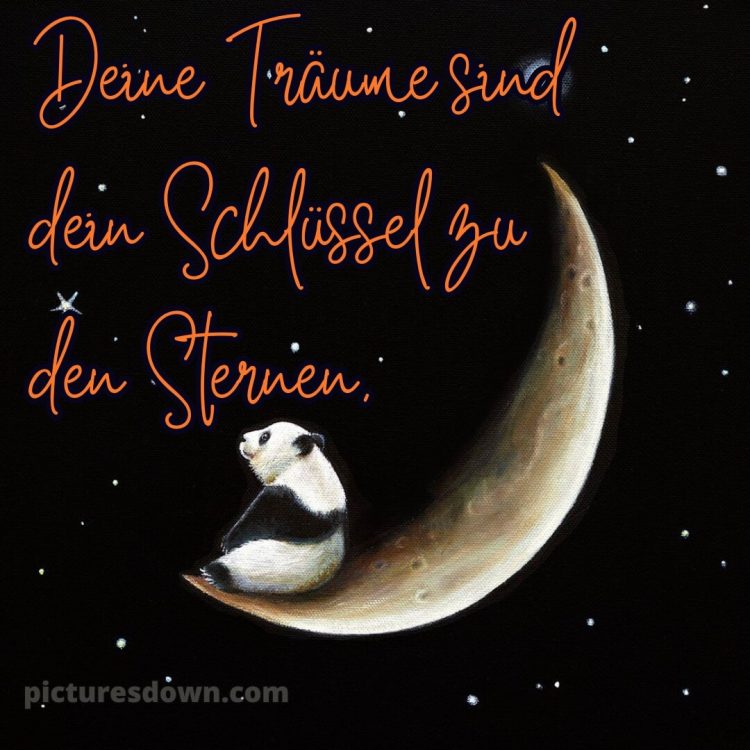Süß gute nacht bilder für whatsapp bild Panda kostenlos