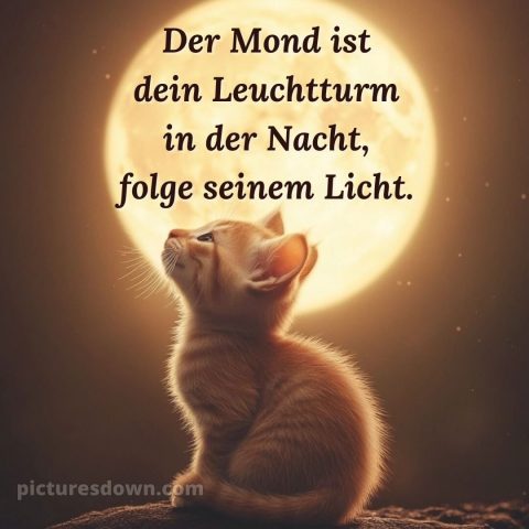 Süß gute nacht bilder für whatsapp bild Mond kostenlos
