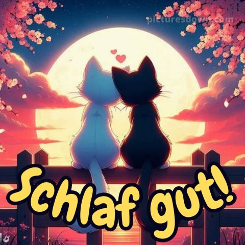 Süß gute nacht bilder für whatsapp bild Katzen kostenlos