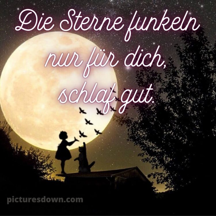 Süß gute nacht bilder für whatsapp bild Dach kostenlos