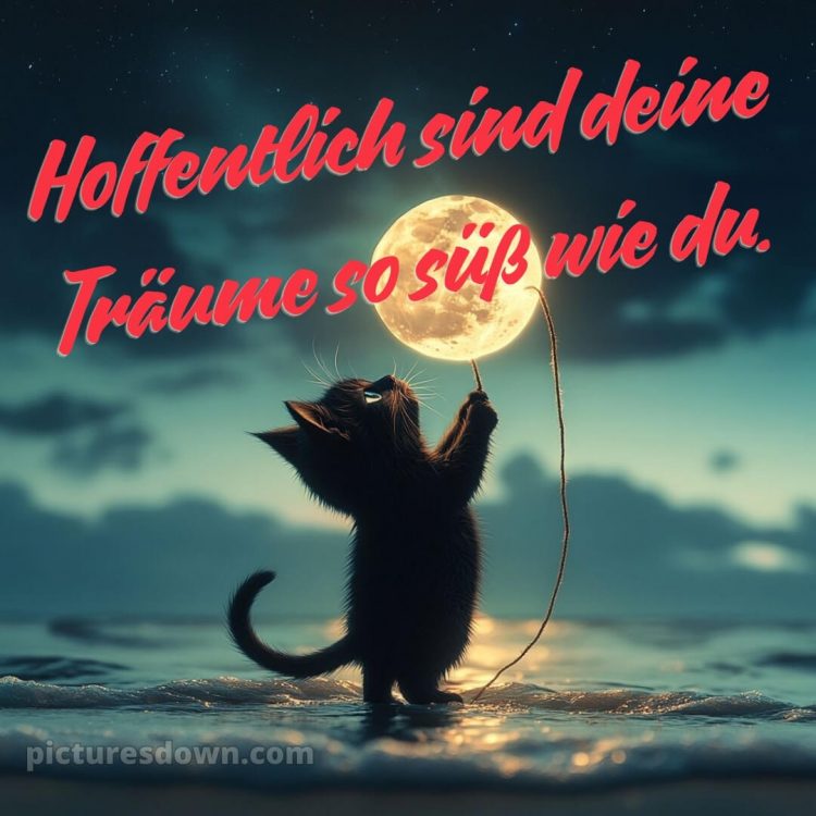 Süß gute nacht bilder für whatsapp bild Kitten kostenlos