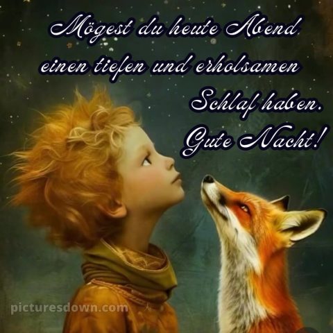Whatsapp kostenlose gute nacht bilder kostenlos bild Fuchs kostenlos